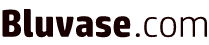 Bluvase Inc.